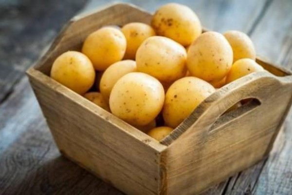 Đắp mặt nạ khoai tây để giảm mụn trứng cá trên da