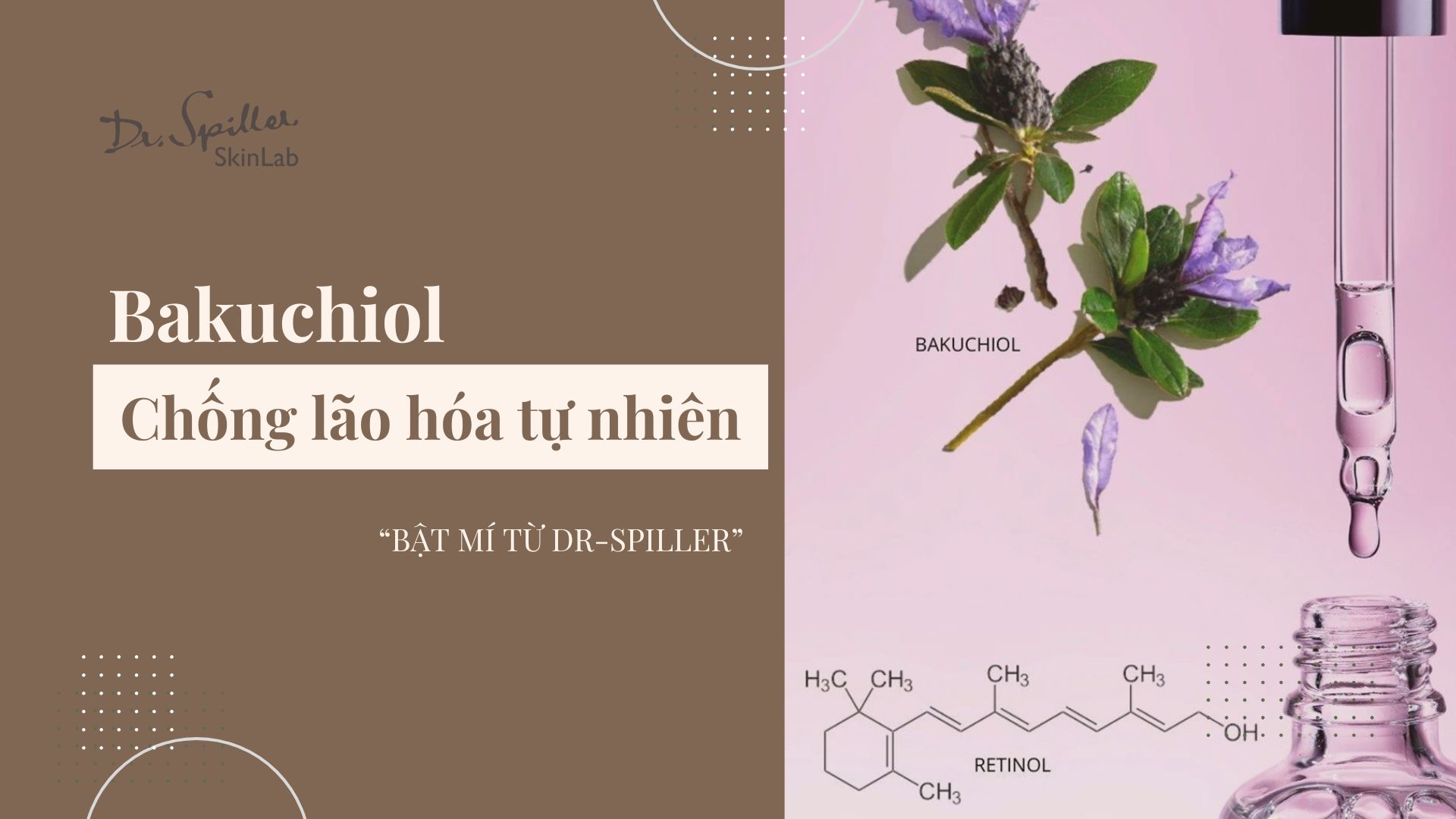 Bakuchiol chống lão hóa tự nhiên cho da nhạy cảm, an toàn