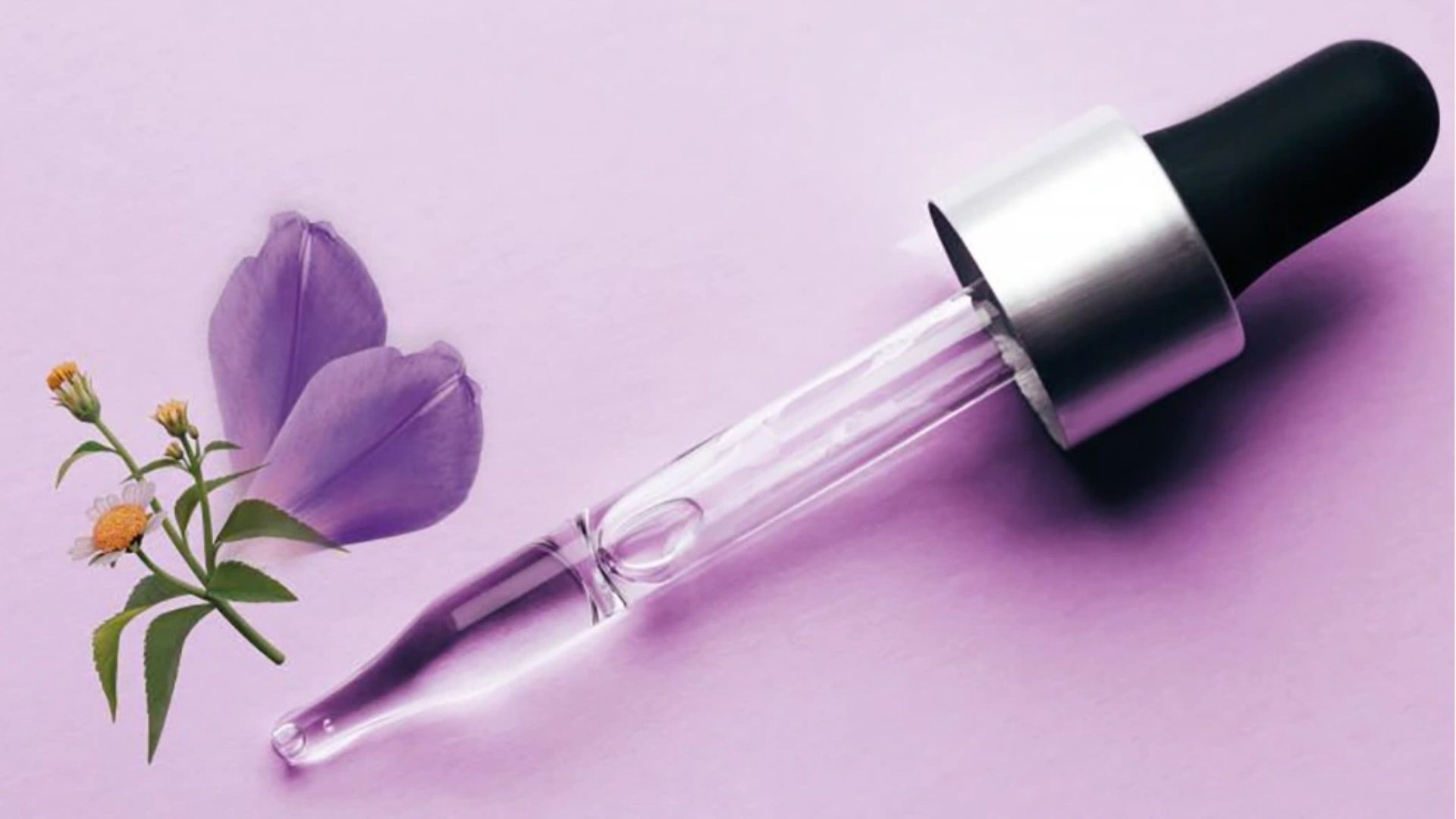 Cơ chế hoạt động của bakuchiol trong việc chống lão hóa