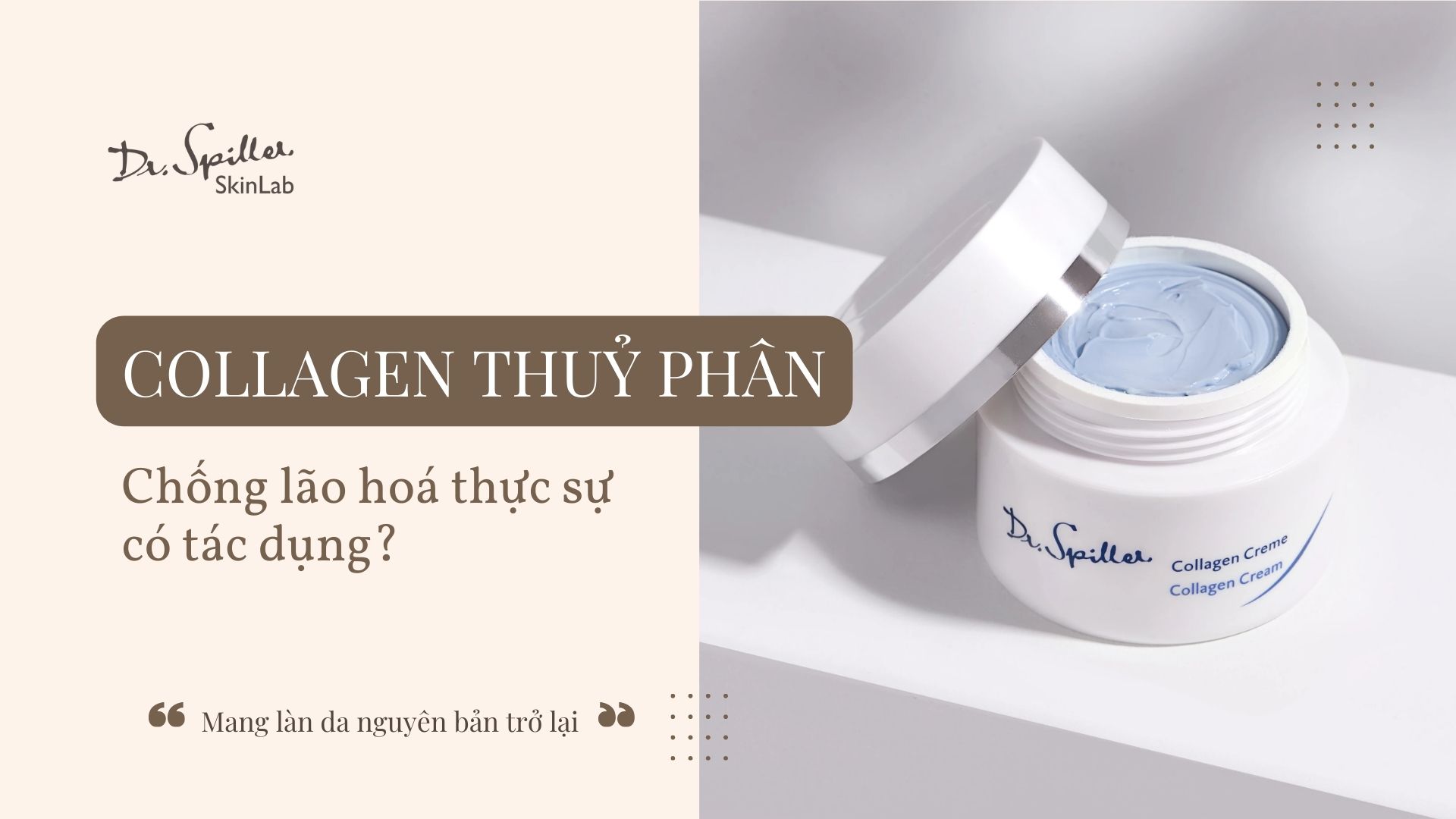Collagen Cream là kem dưỡng cô đặc giàu collagen thủy phân chống lão hoá, kết hợp với các chất chống oxy hóa mạnh mẽ