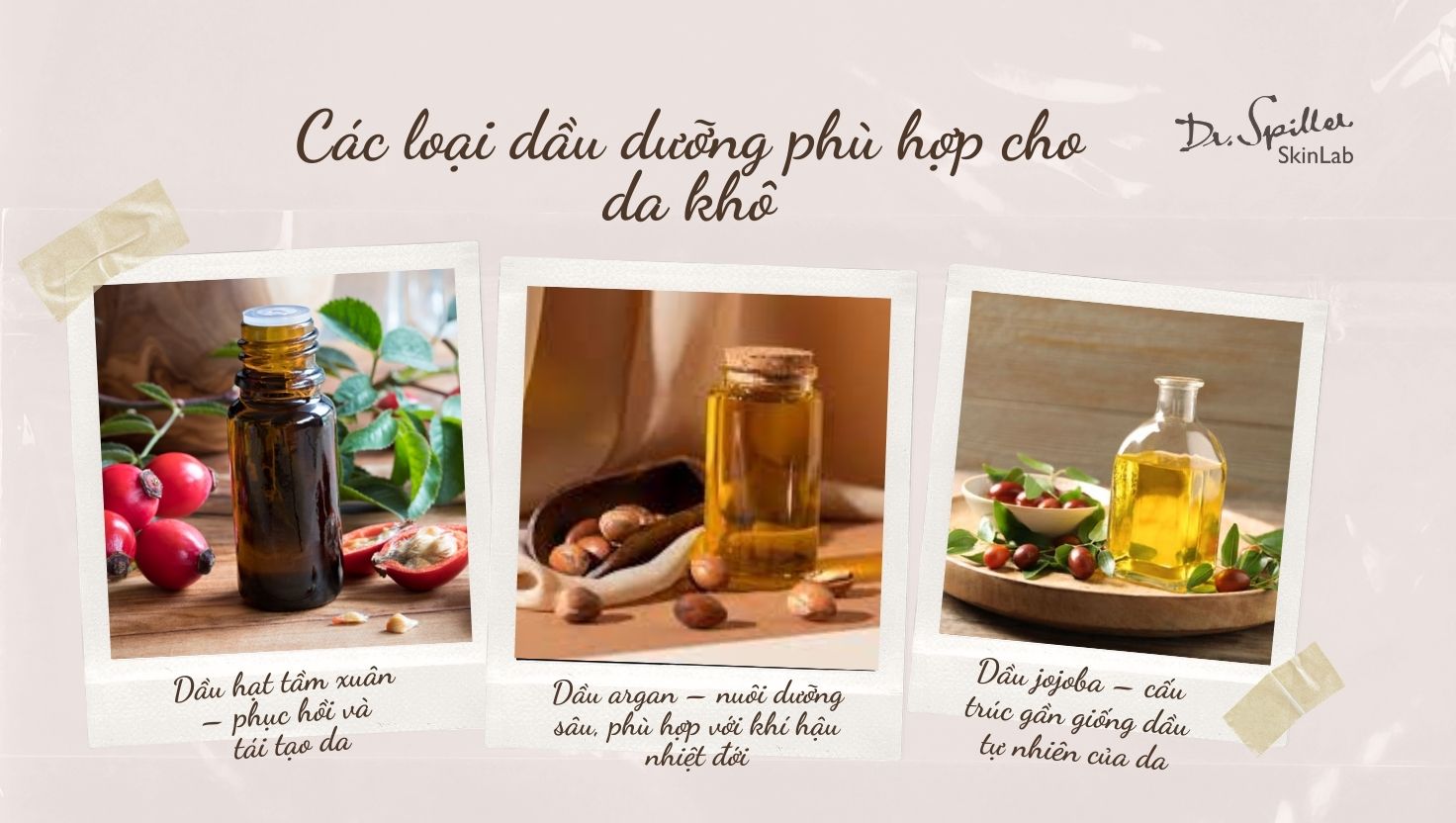Các loại dầu dưỡng phù hợp cho da khô