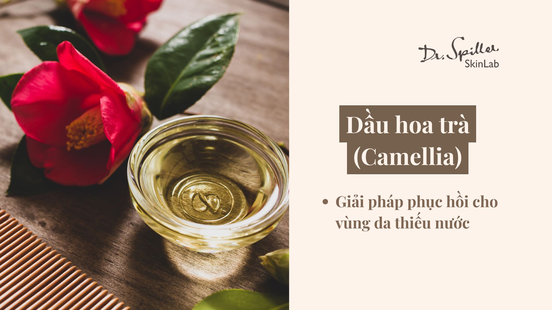 Dầu dưỡng tự nhiên cho da hỗn hợp: Dầu hoa trà