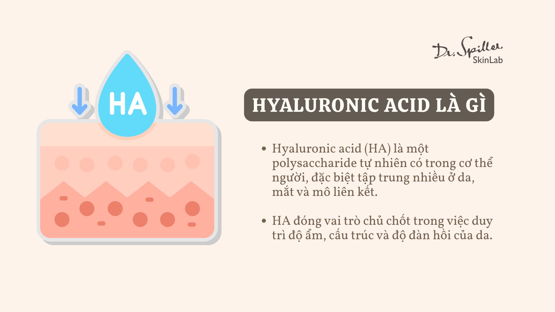 Hyaluronic acid là gì và tại sao lại được coi là "thần dược" chống lão hóa?