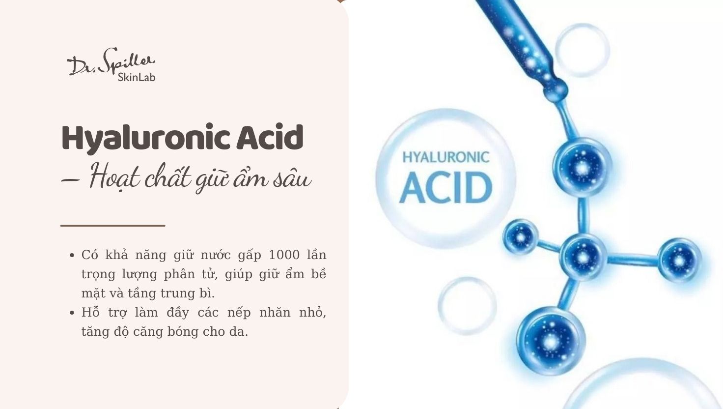 Hyaluronic Acid – Hoạt chất giữ ẩm sâu là thành phần nên có trong kem dưỡng da khô ban ngày
