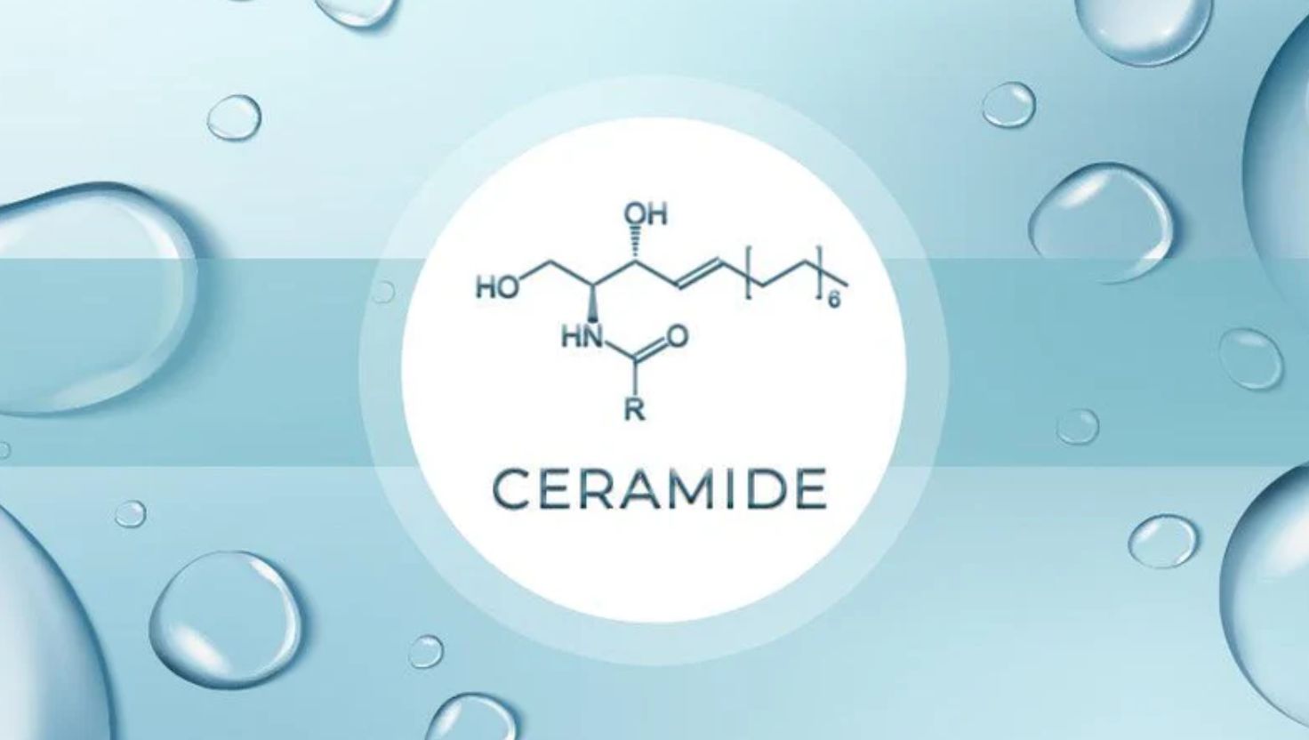 Top thành phần nên có trong mặt nạ ngủ cho da khô - Ceramide