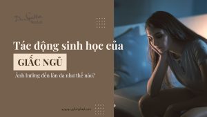 Tác động sinh học của giấc ngủ đến quá trình lão hóa