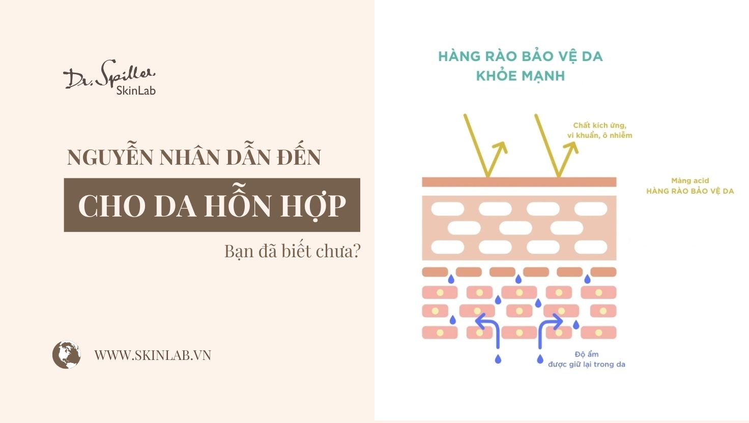 Nguyên nhân dẫn đến da hỗn hợp là gì? Hiểu rõ để chăm sóc đúng