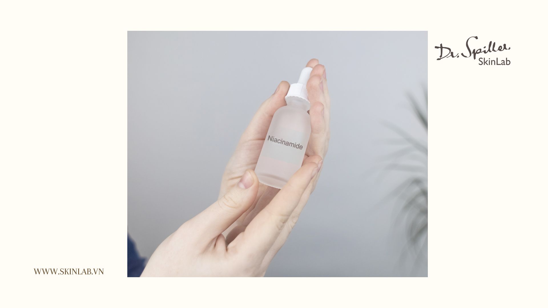 Niacinamide chống lão hóa là thành phần nên có trong serum