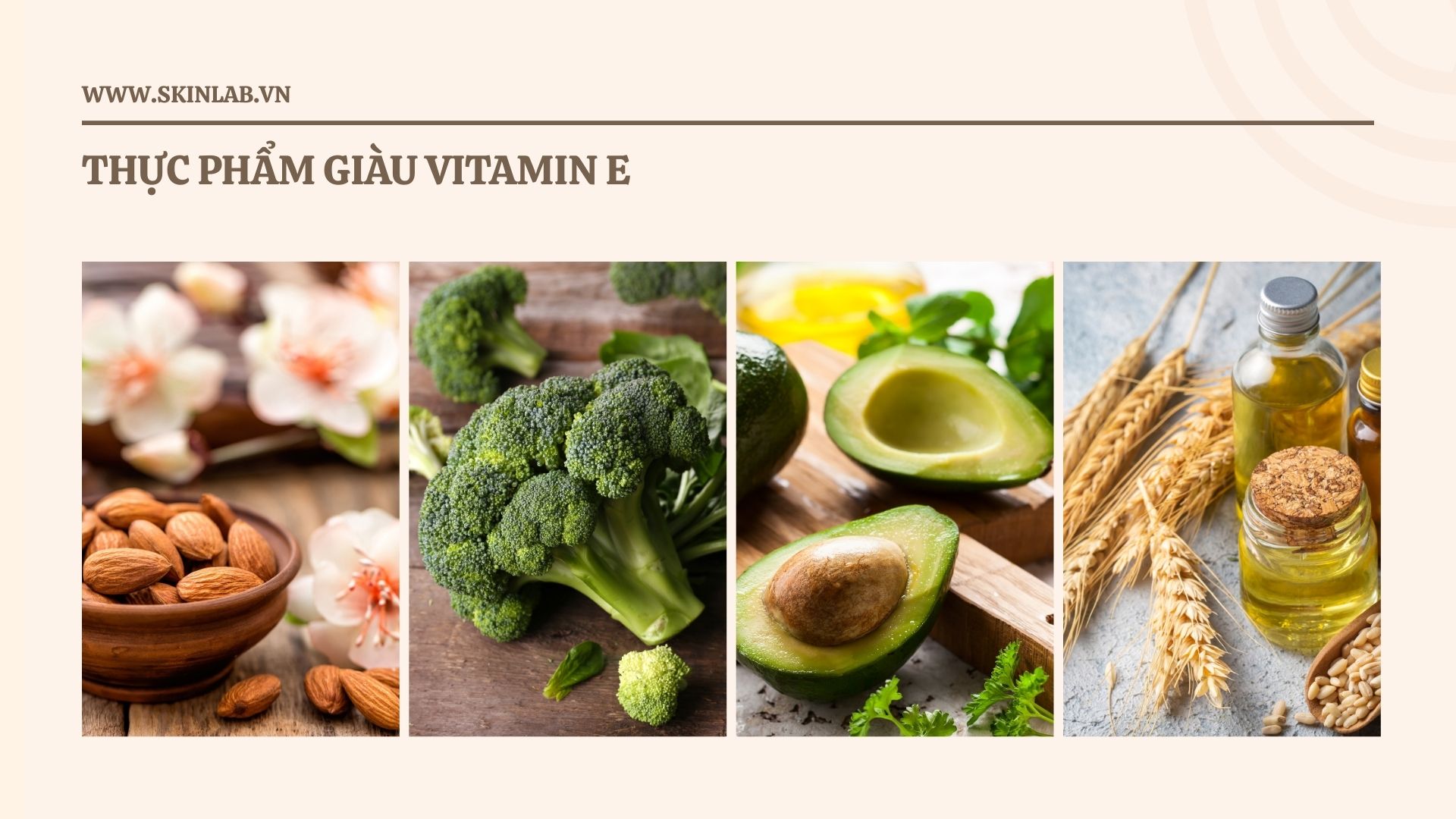 Nên bổ sung vitamin E từ thực phẩm hay viên uống?