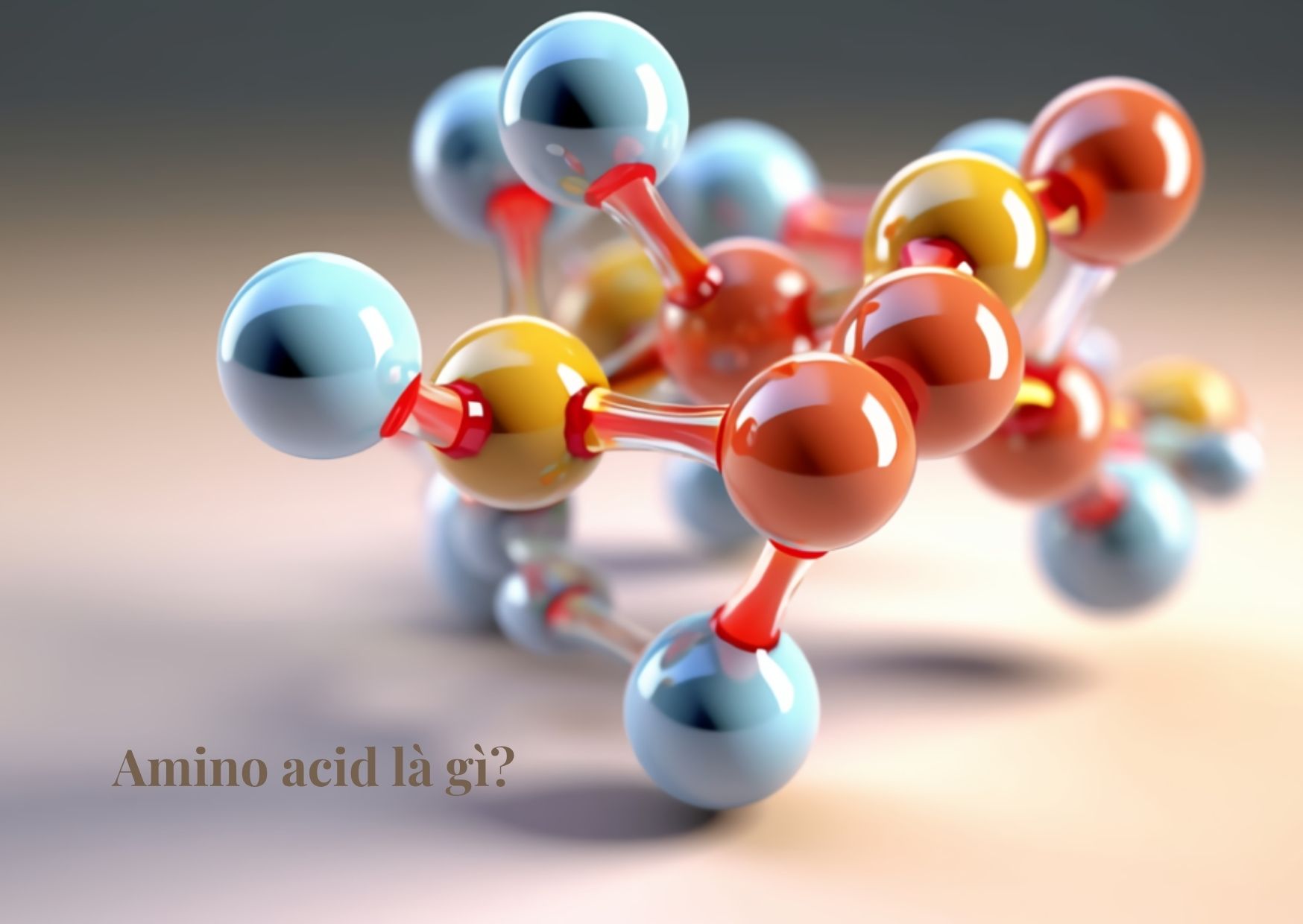 Amino acid là gì? Công dụng và ứng dụng trong mỹ phẩm