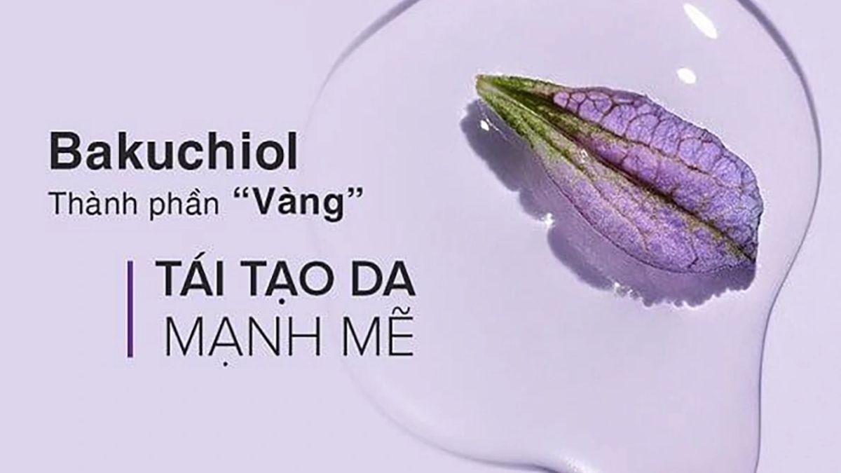 Bakuchiol chiết xuất từ hạt cây Babchi có nguồn gốc Ấn Độ và Trung Quốc