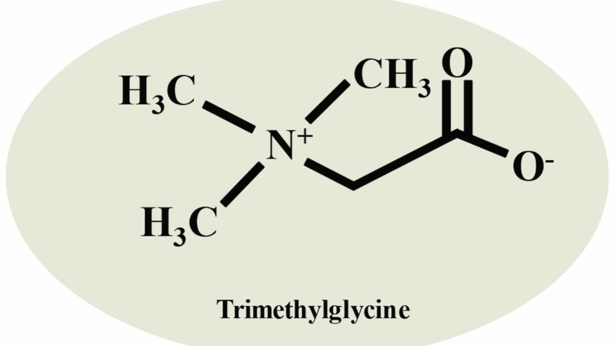 Cấu trúc hóa học và nguồn gốc tự nhiên của Betaine