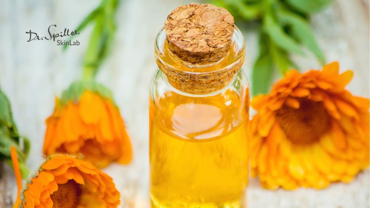 Công dụng nổi bật của Calendula extract trong chăm sóc da