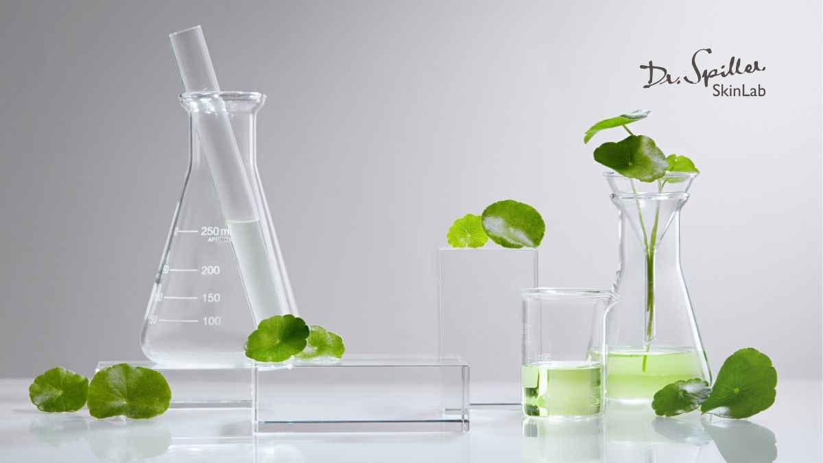 Centella Asiatica Extract là gì? Lợi ích cho da mụn, da nhạy cảm
