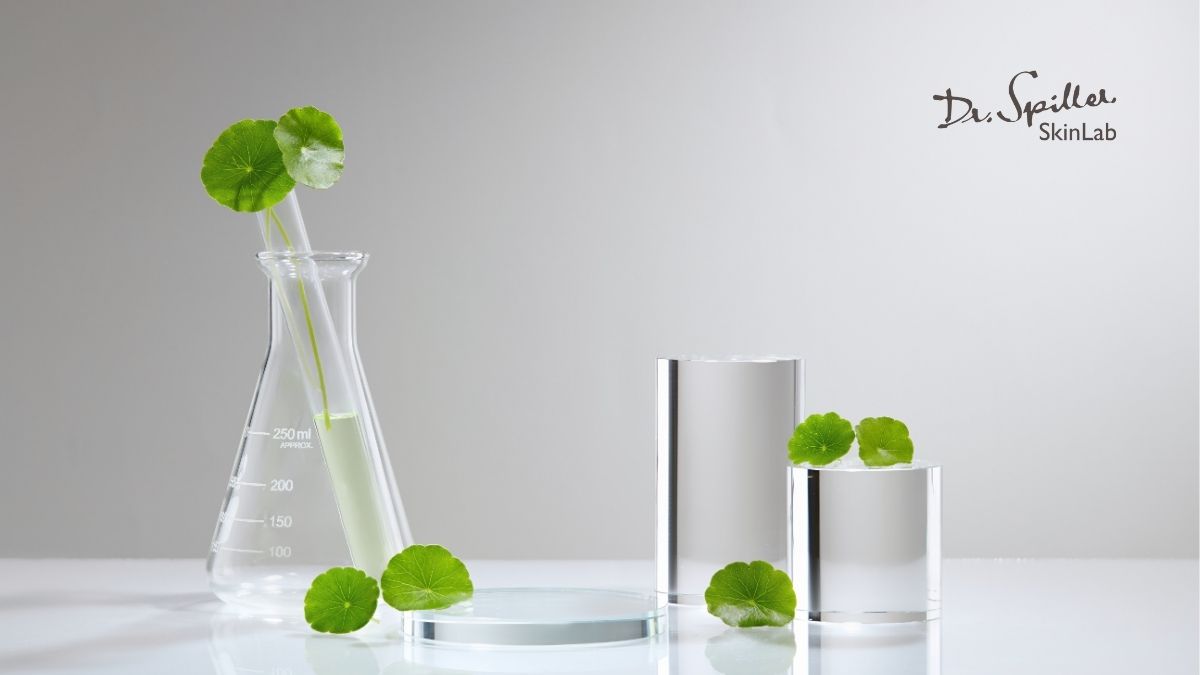 Centella asiatica extract, hay còn gọi là chiết xuất rau má