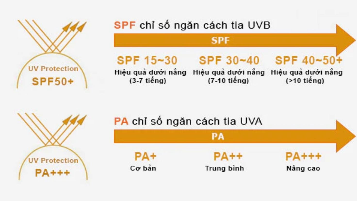 Chỉ số SPF và PA là hai thông số quan trọng cần được quan tâm khi lựa chọn kem chống nắng
