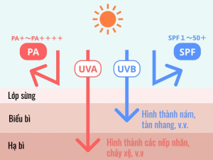 Kem chống nắng có thực sự cần thiết? Chuyên gia giải đáp