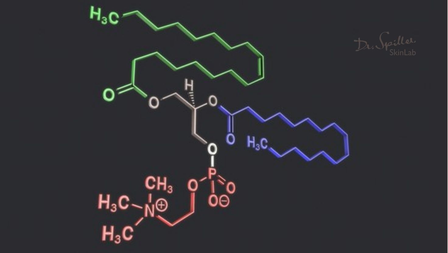 Thành phần hóa học và nguồn gốc tự nhiên của lecithin