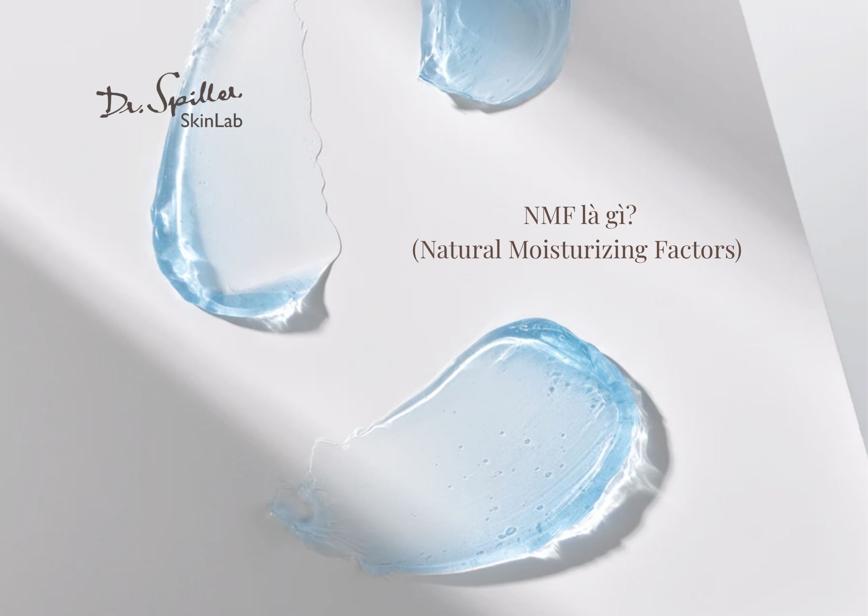 NMF (Natural Moisturizing Factors) là gì? Tác dụng với làn da