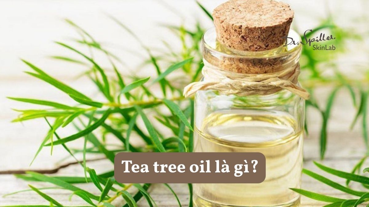Vai trò của tea tree oil trong chăm sóc tóc và da đầu