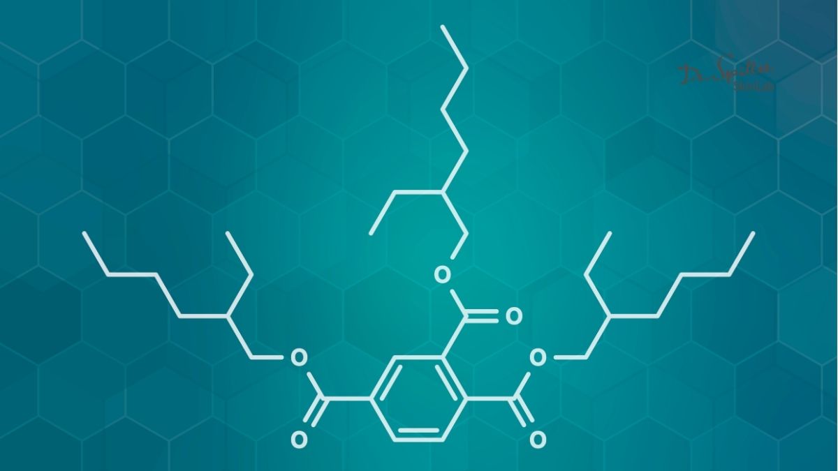 Phthalates thành phần có hại cần lưu ý khi chọn kem dưỡng thể