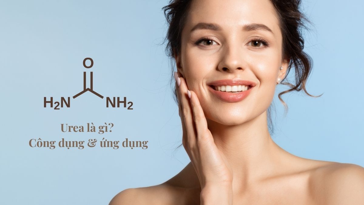Urea là gì? Công dụng & ứng dụng trong y học và chăm sóc da
