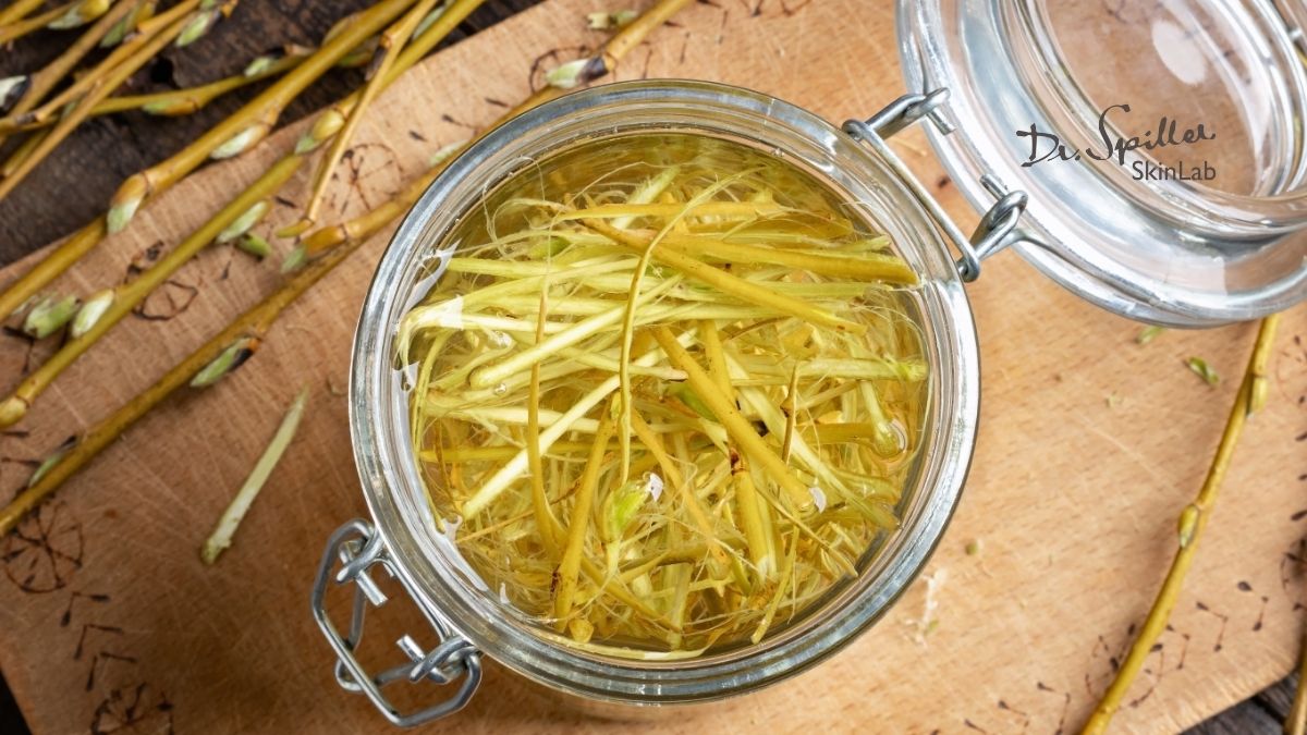 Ứng dụng thực tế của chiết xuất vỏ cây liễu