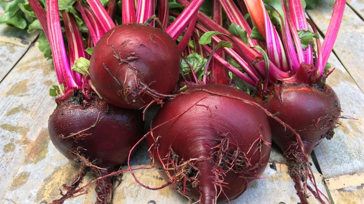 Một số loại thảo dược như cây kế sữa, cam thảo, và rễ củ cải đường đã được chứng minh là giúp tăng cường hoạt động của glutathione