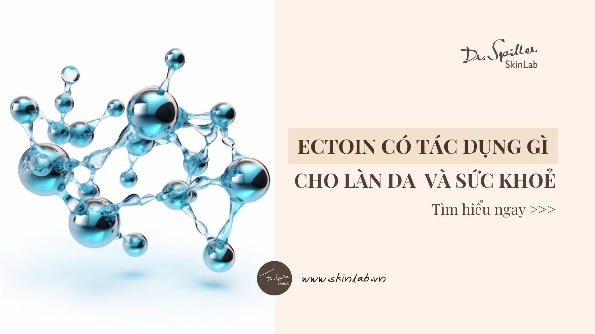 Cơ chế hoạt động của Ectoin: Vì sao lại hiệu quả?