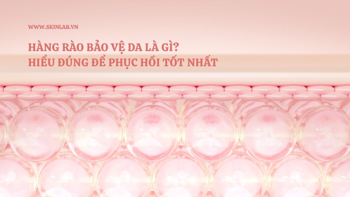 Hàng rào bảo vệ da là gì? Hiểu đúng để phục hồi tốt nhất