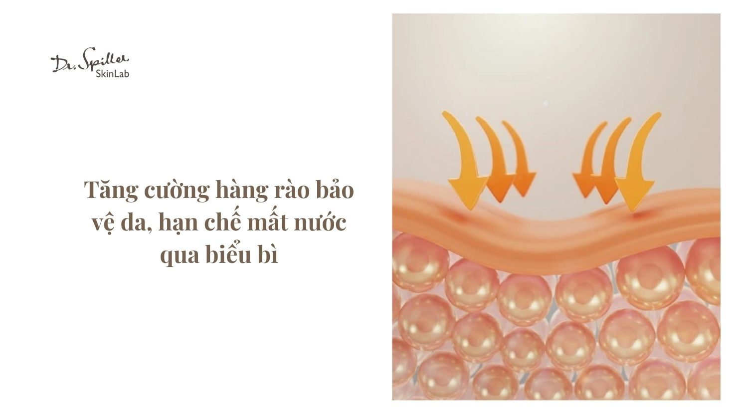 Lý do nên sử dụng kem dưỡng chuyên biệt cho da hỗn hợp thiên khô