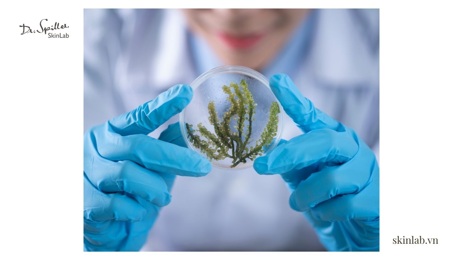 Lợi ích nổi bật khi sử dụng mặt nạ tảo biển trong chăm sóc da