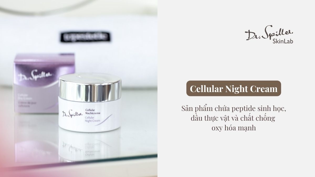 Cellular Night Cream giúp tái tạo tế bào da trong khi ngủ