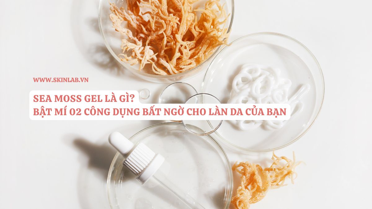 Sea Moss Gel là gì? 2 công dụng bất ngờ cho làn da của bạn