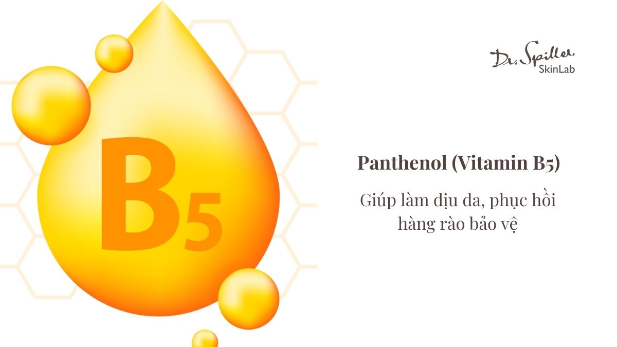 Tiêu chí chọn sữa rửa mặt cho da hỗn hợp thiên dầu