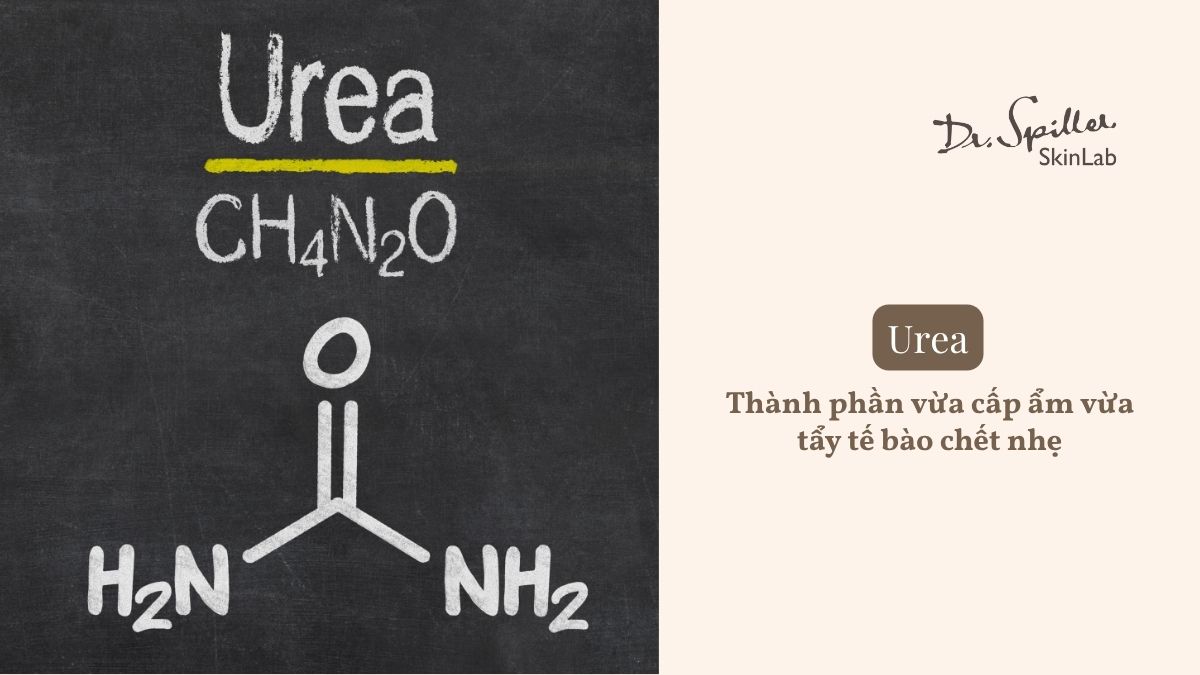 Những thành phần cấp ẩm và giữ ẩm “đáng giá” nhất cho mùa hanh khô