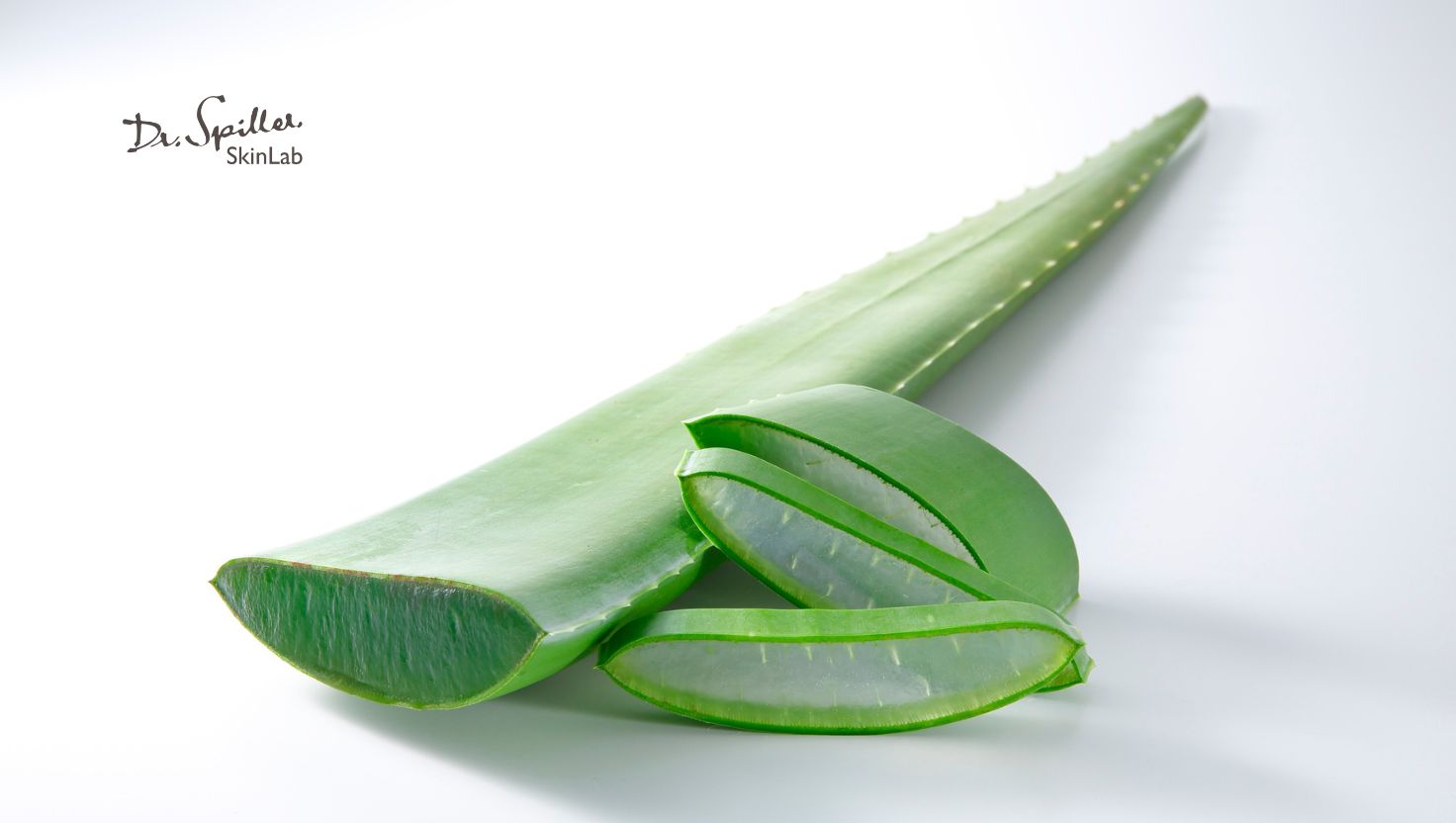 Nha đam là thảo dược có tác dụng làm đẹp da