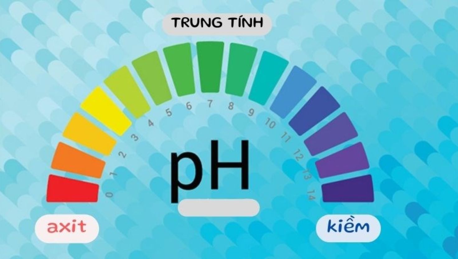 Toner chuyên biệt giúp cân bằng lại độ pH tự nhiên của da (khoảng 5.5)