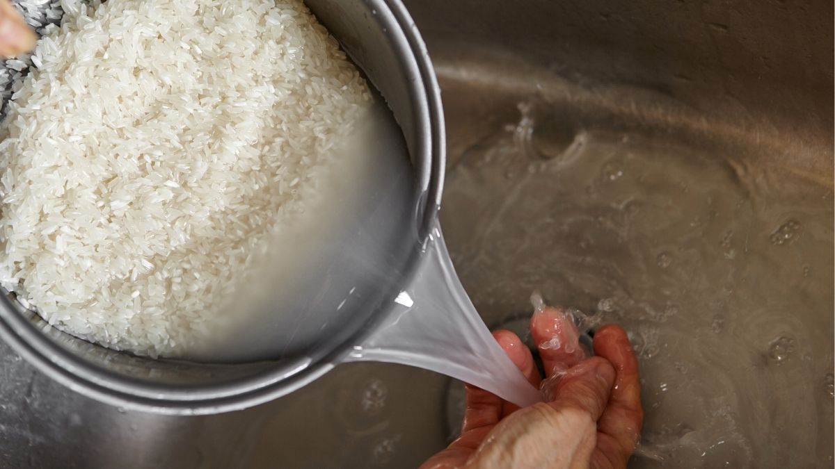 Lý do nước vo gạo có tác dụng trị mụn