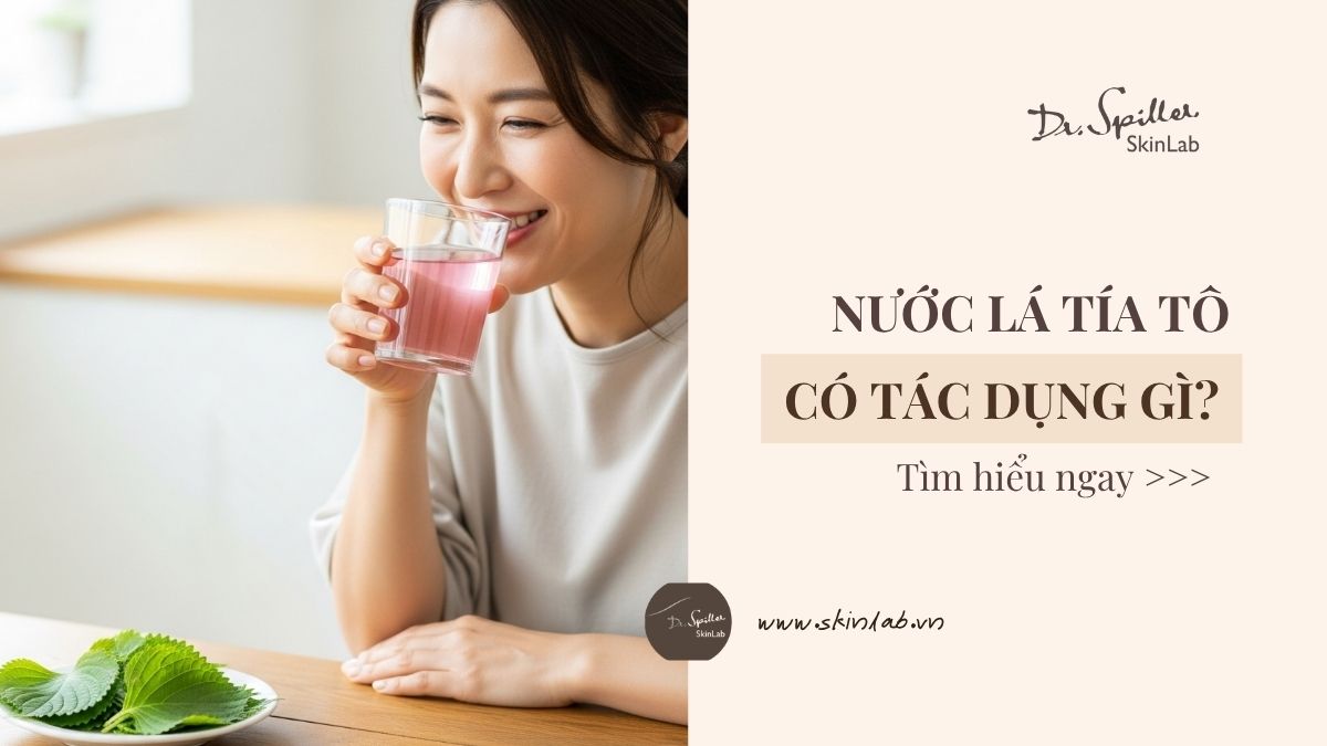 Uống lá tía tô có tác dụng gì? Lợi ích & cách dùng hiệu quả