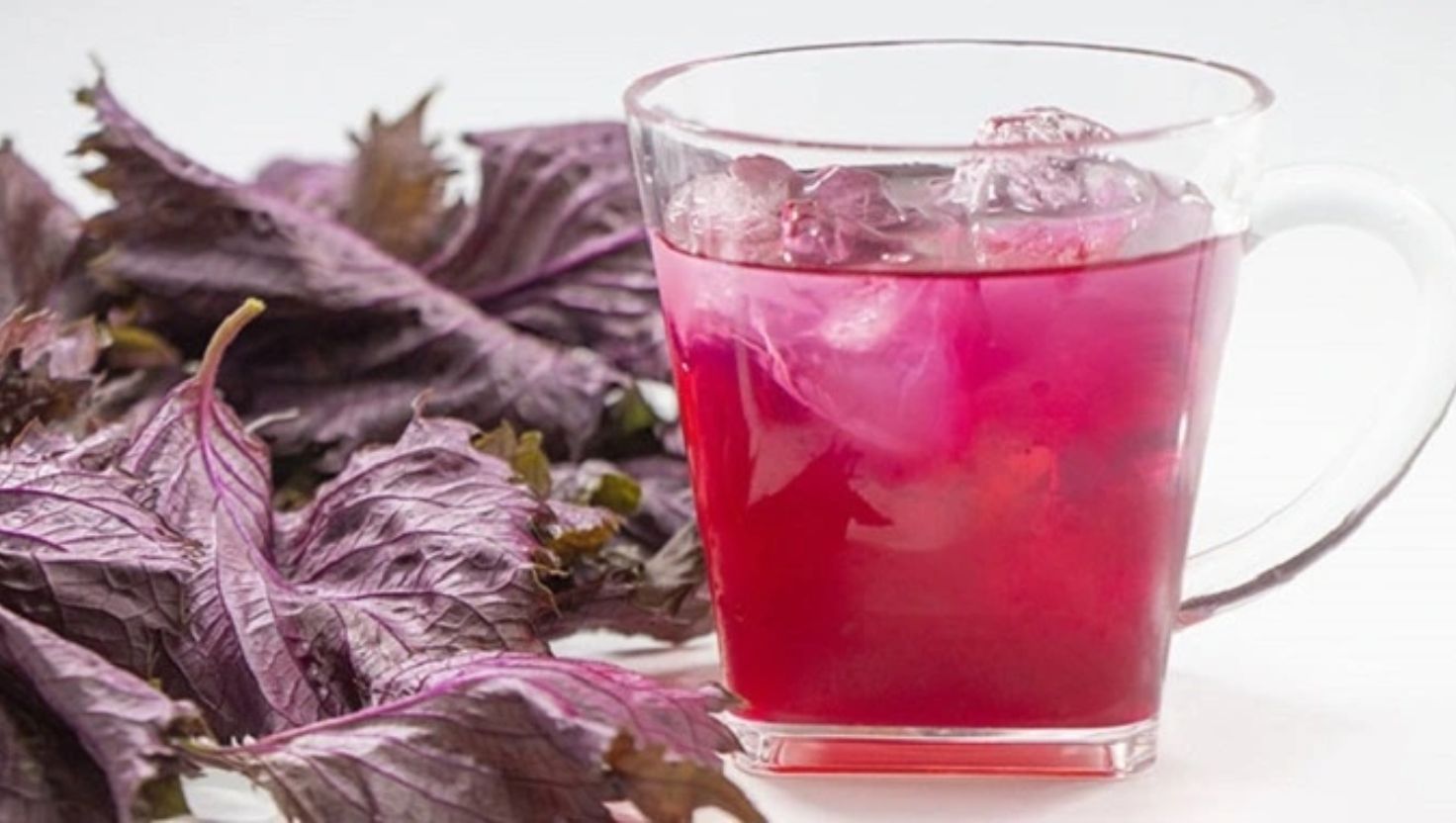 Cách uống nước lá tía tô để đạt hiệu quả cao