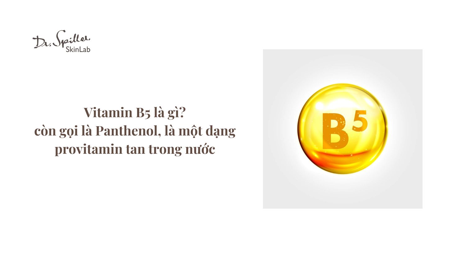 Panthenol chuyển hóa thành acid pantothenic – chất thiết yếu tham gia vào quá trình tái tạo và phục hồi tế bào