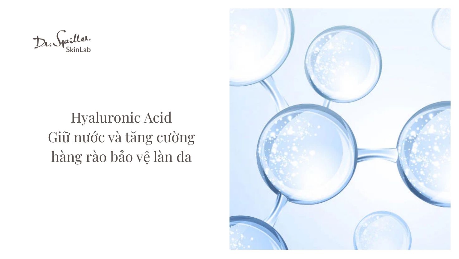 Để giải quyết tình trạng mất nước, bạn nên ưu tiên các sản phẩm có khả năng cấp ẩm cao và dịu nhẹ.