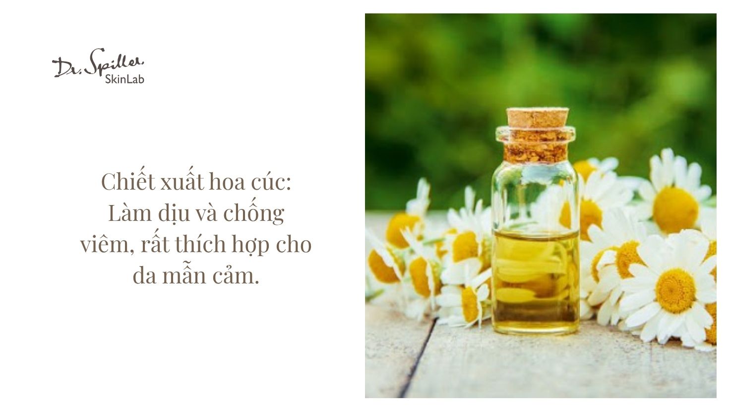 Các thành phần này kết hợp hòa quyện vượt trội giúp toner vừa làm sạch nhẹ, vừa dưỡng da hiệu quả.