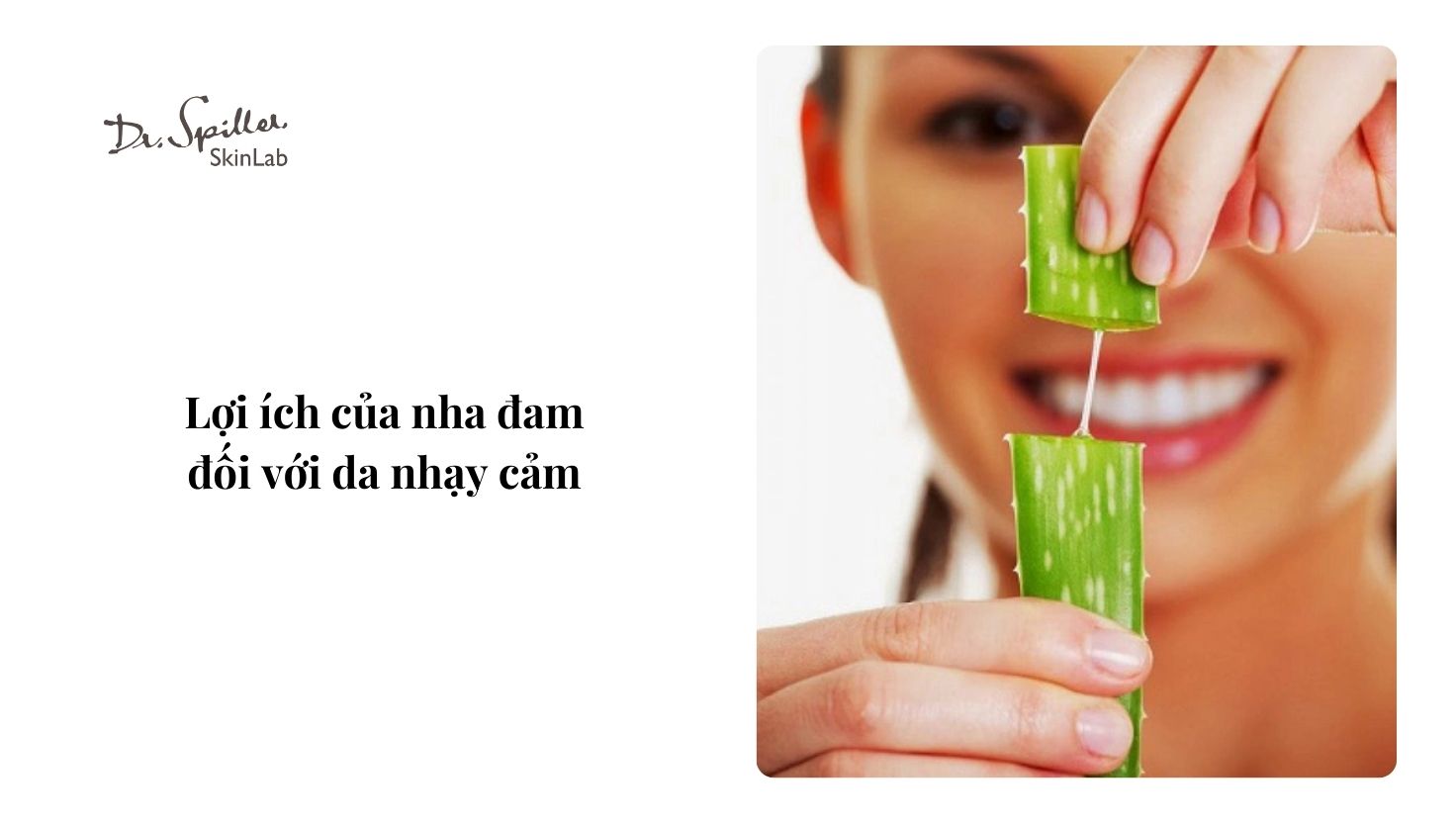 Sử dụng nha đam thường xuyên giúp củng cố lớp biểu bì, tăng sức đề kháng, từ đó giảm tình trạng nhạy cảm quá mức.