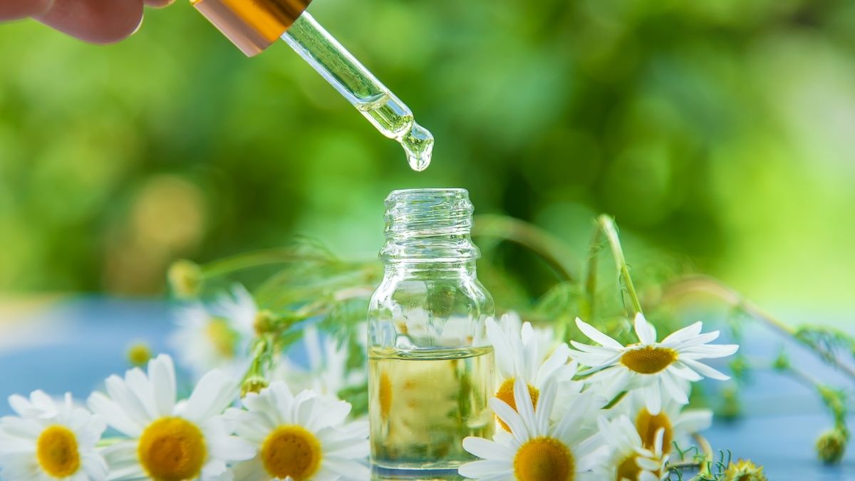Gel dưỡng nên có chiết xuất hoa cúc (Chamomile Extract): Giúp giảm sưng đỏ, làm dịu da nhạy cảm.