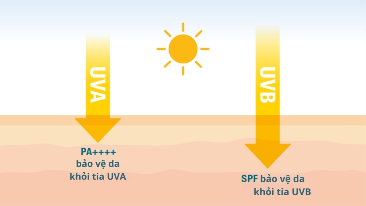 Một quy trình kem chống nắng mùa hè chuẩn dạng cần sở hữu chỉ số SPF từ 30 trở lên cùng khả năng lọc tia UVA và UVB