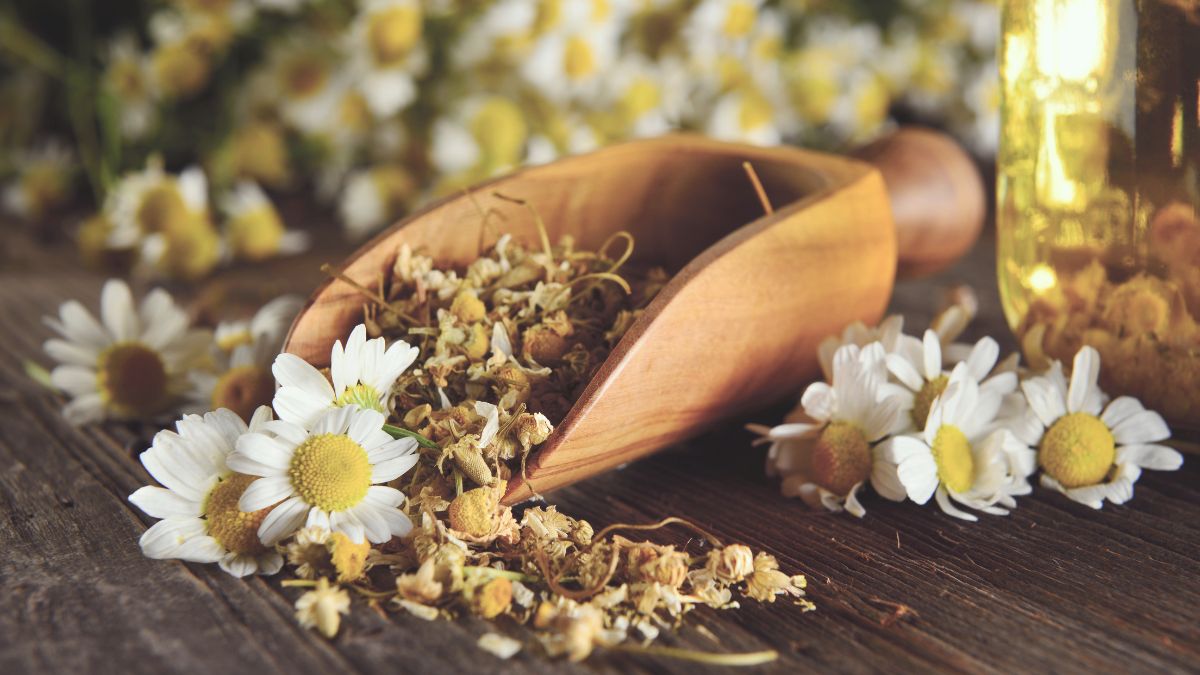 Các thành phần như azulene (từ hoa cúc), bisabolol, chiết xuất lô hội có khả năng làm dịu tức thì