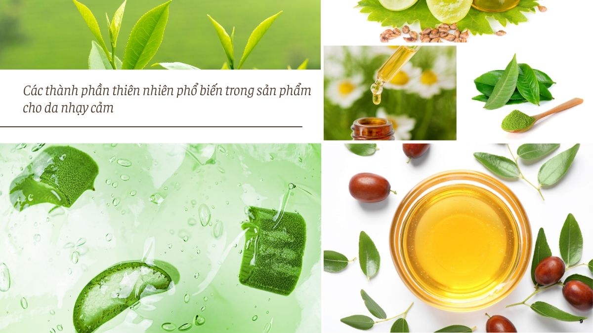 Các thành phần thiên nhiên phổ biến trong sản phẩm cho da nhạy cảm