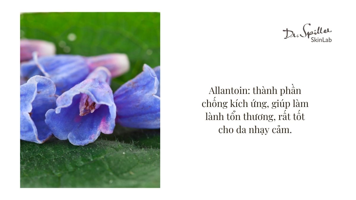 Thành phần là điểm quan trọng nhất khi lựa chọn toner không cồn cho da nhạy cảm.